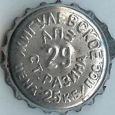 Photo of variation RU370102-0001.29